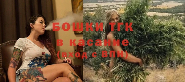 гидропоника Алзамай