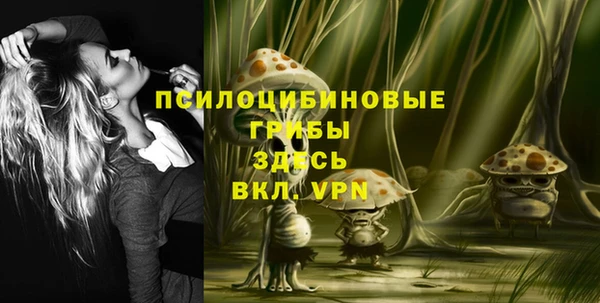 шишки Абинск