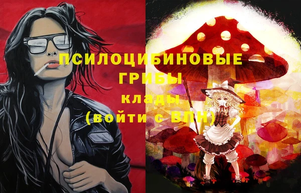 гидропоника Алзамай